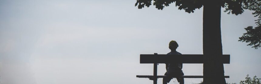 person sitting on bench under tree